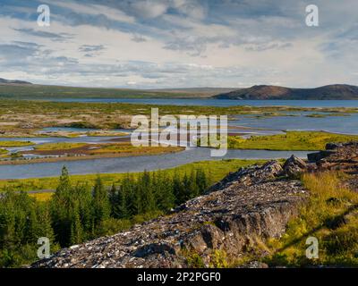 Lac et marais verts dans le parc national de Thingvellir (Islande) Banque D'Images