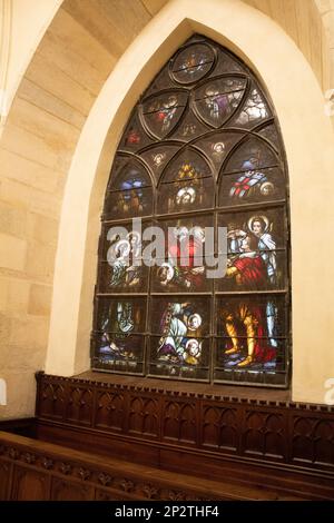 À l'intérieur de St. Cathédrale de Michael, Cluj-Napoca, Roumanie Banque D'Images