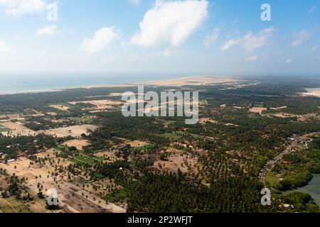 Vue aérienne de la côte de la péninsule de Kalpitiya avec des palmiers Sri Lanka. Banque D'Images