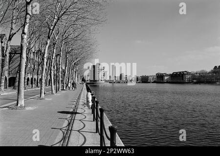 Brunswick Quay, sur le quai Groenland, Londres, en monochrome, en regardant vers l'est vers l'île des chiens Banque D'Images