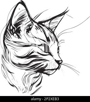 Illustration vectorielle dessinée à la main d'une tête de chat Illustration de Vecteur