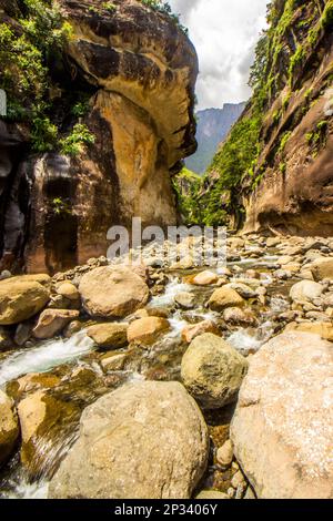 Le débit supérieur de la rivière Tugela, qui traverse une étroite gorge de grès dans les montagnes du Drakensberg Banque D'Images