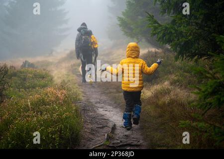 Maman avec son fils et ses chiens marchent au-dessus des bûches couchés sur un petit ruisseau. Montagnes polonaises Banque D'Images