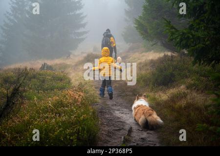 Maman avec son fils et ses chiens marchent au-dessus des bûches couchés sur un petit ruisseau. Montagnes polonaises Banque D'Images