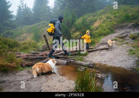 Maman avec son fils et ses chiens marchent au-dessus des bûches couchés sur un petit ruisseau. Montagnes polonaises Banque D'Images