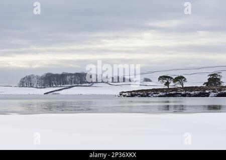 Vue sur un lac glaciaire partiellement gelé et recouvert de neige, Malham Tarn, Malhamdale, Yorkshire Dales N. P. North Yorkshire, Angleterre, Royaume-Uni Banque D'Images