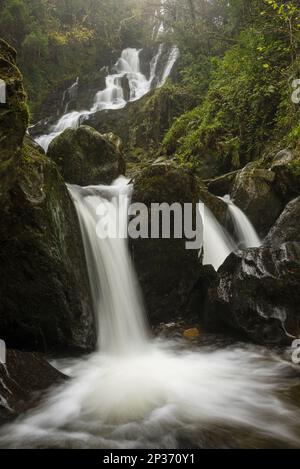 Vue sur la chute d'eau, la chute d'eau de Torc, la rivière Owengarriff, le comté de Killarney N. P. Kerry, Munster, Irlande Banque D'Images