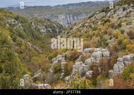 Pinnacles calcaires et arbres de couleur automnale, au-dessus de Kapesovo, Vikos-Aoos N.P., Zagori, Epirus, Grèce Banque D'Images