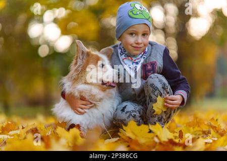 Amis, bébé et chien sont assis ensemble dans de belles feuilles d'or. Automne dans le parc. Un garçon de sept ans Banque D'Images