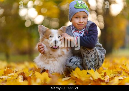 Amis, bébé et chien sont assis ensemble dans de belles feuilles d'or. Automne dans le parc. Un garçon de sept ans Banque D'Images