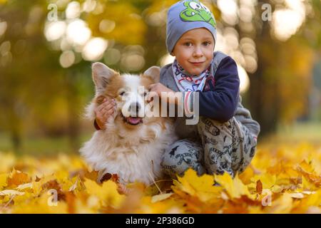 Amis, bébé et chien sont assis ensemble dans de belles feuilles d'or. Automne dans le parc. Un garçon de sept ans Banque D'Images