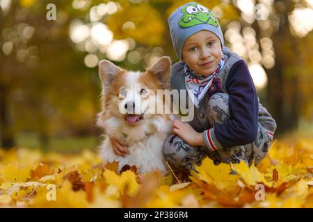 Amis, bébé et chien sont assis ensemble dans de belles feuilles d'or. Automne dans le parc. Un garçon de sept ans Banque D'Images