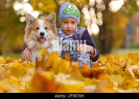 Amis, bébé et chien sont assis ensemble dans de belles feuilles d'or. Automne dans le parc. Un garçon de sept ans Banque D'Images