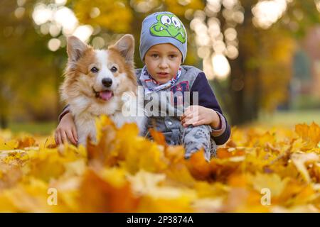 Amis, bébé et chien sont assis ensemble dans de belles feuilles d'or. Automne dans le parc. Un garçon de sept ans Banque D'Images