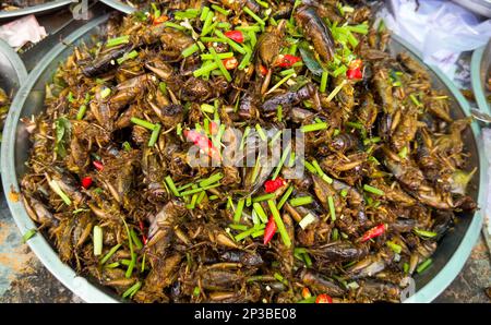 Un grand bol de sauterelles sautées en vente au marché des insectes de Skun au Cambodge. Banque D'Images