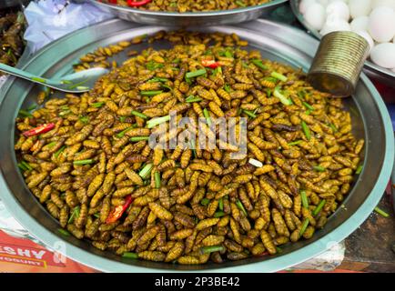 Larves de ver à soie sautée en vente sur le marché des insectes de Skun au Cambodge. Banque D'Images