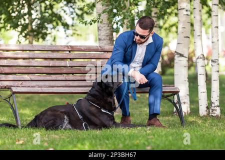 Jeune homme en costume d'affaires portant des lunettes de soleil parlant avec son chien à la marche Banque D'Images