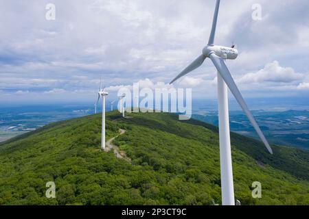 Pékin, Chine. 19th juin 2022. Cette photo aérienne prise sur 19 juin 2022 montre des éoliennes dans un parc forestier du comté de Raohe, dans la province de Heilongjiang, au nord-est de la Chine. Credit: XIE Jianfei/Xinhua/Alay Live News Banque D'Images