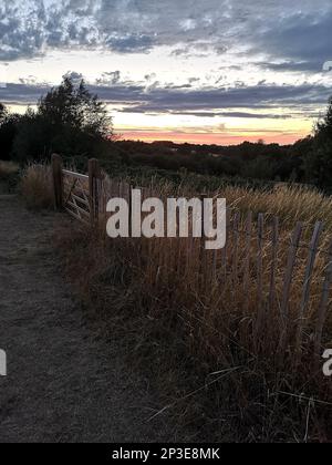 Vue sur un coucher de soleil sur une prairie avec une barrière et une clôture en premier plan. Banque D'Images