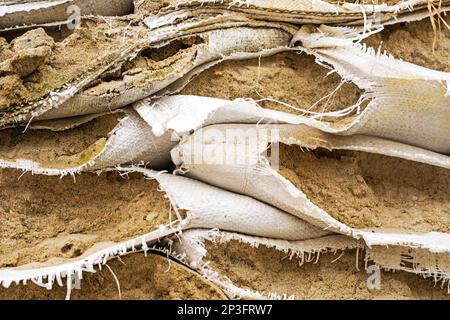 gros plan des sacs de sable déchirés aux postes de contrôle, défense de l'ukraine. La guerre en Ukraine Banque D'Images