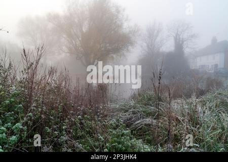 Hiver brumeux matin scène d'herbe couverte de glace et de plantes sauvages avec étang en arrière-plan et quelques arbres et maisons anciennes s'estompent dans la brume. Kent. Banque D'Images