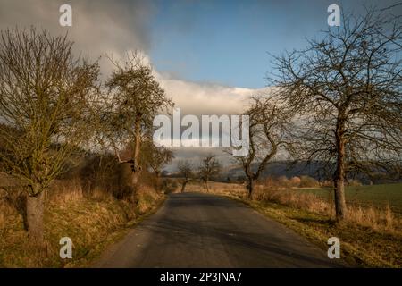 Paysage près de Semnicka rock en hiver froid matin frais Banque D'Images