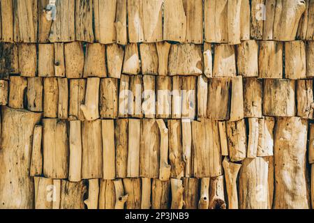 arrière-plan des troncs d'arbre, gros plan d'une clôture faite de grumes d'arbre. beaucoup de grumes sciées. Banque D'Images