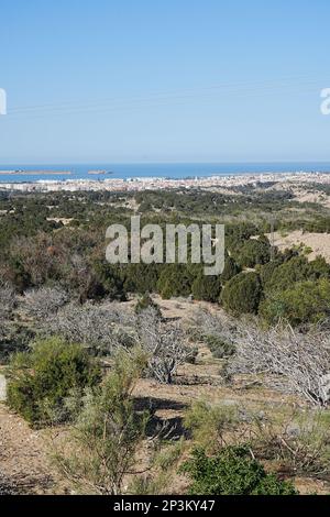 Ville africaine pittoresque d'ESSAOUIRA au MAROC, ciel bleu clair en 2023 froid ensoleillé jour d'hiver le février - vertical Banque D'Images