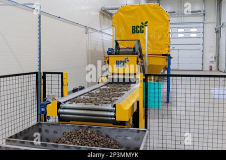 Kaunas, Lituanie - 2023 3 mars : système de production de pépinières de BCC. Centre de semences forestières. Ligne de remplissage et d'ensemencement automatique qui aide à restaurer les fores Banque D'Images