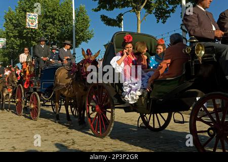 Feria de Abril (la foire d'avril). 'El Real'. Des gens assis sur une calèche. Séville, Andalousie, espagne. Banque D'Images