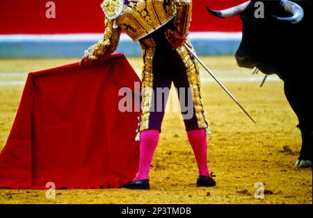 Corrida à la Plaza de Toros, Grenade, Andalousie, Espagne, Europe Banque D'Images