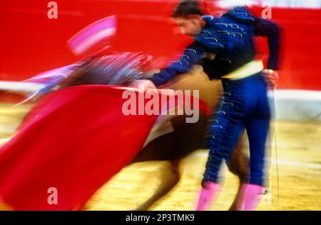 Corrida à la Plaza de Toros, Grenade, Andalousie, Espagne, Europe Banque D'Images