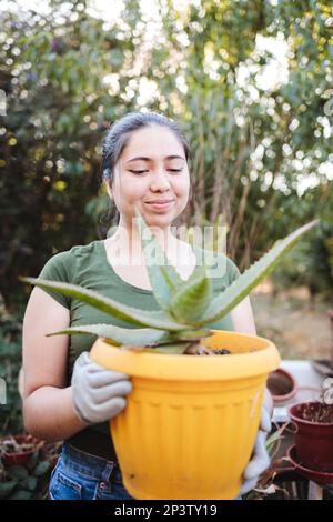 Jeune paysanne latine tenant un pot de fleur avec une plante de vera d'aloès dans son jardin biologique. Verticale Banque D'Images