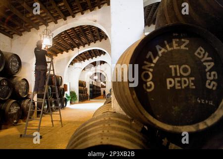 González Byass wineries.Tio Pepe Jerez de la Frontera, Cadiz Province. Espagne Banque D'Images