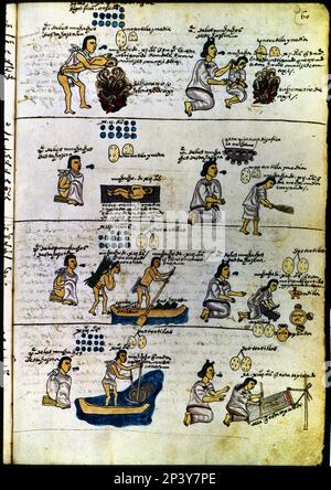 Codex Mendoza (1535 - 1550), hiéroglyphique représentant les méthodes d'éducation d'Aztec: Jeune garçon forcé d'inhaler la fumée, le nettoyage, la pêche et le tissage. Banque D'Images