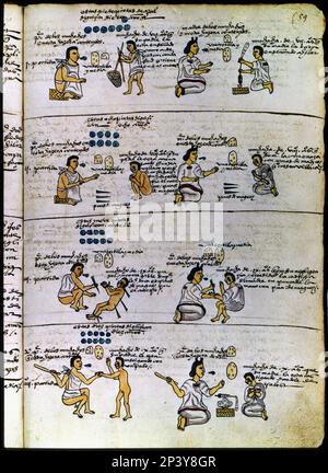 Codex Mendoza (1535 - 1550), hiéroglyphe représentant les méthodes d'éducation de l'Aztec: La désobéissance et la paresse ont été punies avec des cils ou des aiguilles de la plante du magney. Banque D'Images