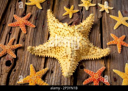 Grand Starfish avec assortiment de plus petits encore la vie Banque D'Images