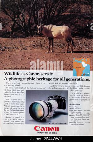 Photo Canon long-objectif, publicité 300 mm dans un magazine NatGeo juin 1981 Banque D'Images