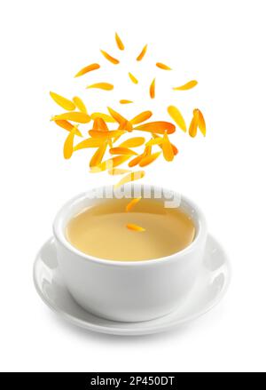 De magnifiques fleurs et pétales de calendula tombent dans une tasse de thé fraîchement préparé sur fond blanc Banque D'Images