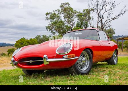 1962 E voiture de sport Jaguar FHC Banque D'Images