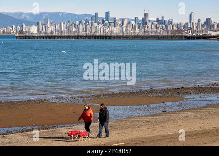 Deux femmes marchant leurs chiens sur la plage de Jericho en hiver avec la ville en arrière-plan, Vancouver, C.-B., Canada Banque D'Images