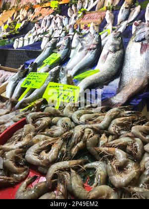 Poissons crus sur le comptoir à Istanbul, Turquie. Banque D'Images