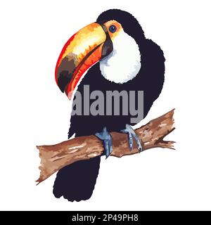 Aquarelle espèce exotique oiseau tropical toucan assis sur la branche isolé art vecteur. Illustration de Vecteur