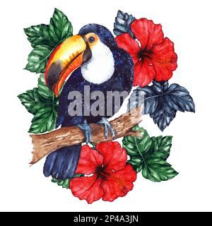 Aquarelle exotique oiseau animal tropical toucan fleur hibiscus art isolé Banque D'Images