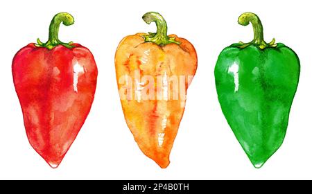Aquarelle douce cloche poivron bulgare ensemble de légumes art isolé Banque D'Images