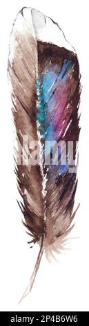 Aquarelle oiseau exotique coloré simple plume vecteur isolé. Illustration de Vecteur