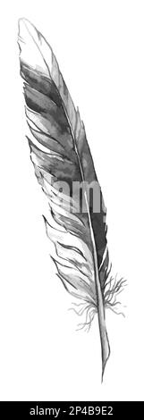 Aquarelle noir et blanc monochrome simple plume isolée. Illustration de Vecteur