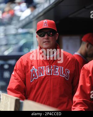 Los Angeles Angels coach Mike Gallego looks over from the dugout before a  baseball game against the Seattle Mariners in Anaheim, Calif., Wednesday,  Aug. 17, 2022. (AP Photo/Alex Gallardo Stock Photo - Alamy