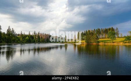 Paysage à l'Hasenbacher Teich. Nature dans le Harz près de Clausthal-Zellerfeld. Paysage idyllique au bord du lac en automne. Banque D'Images