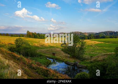 Paysage à l'Hasenbacher Teich. Nature dans le Harz près de Clausthal-Zellerfeld. Banque D'Images